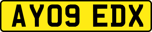 AY09EDX