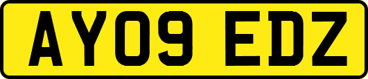 AY09EDZ