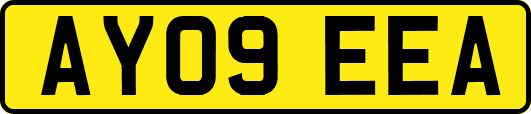 AY09EEA
