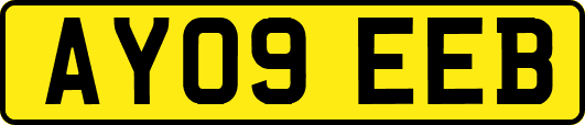 AY09EEB