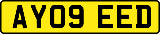 AY09EED
