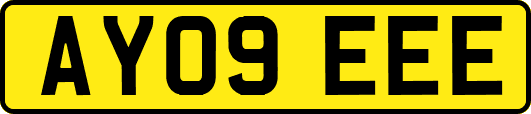 AY09EEE