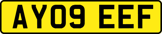 AY09EEF