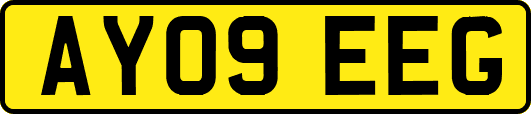 AY09EEG