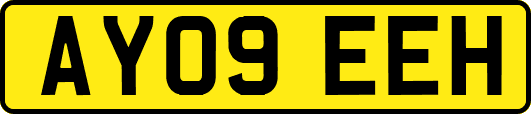 AY09EEH