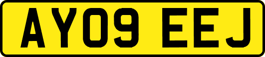 AY09EEJ