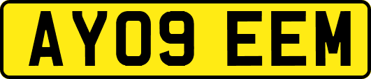 AY09EEM