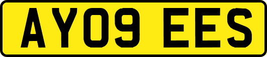 AY09EES
