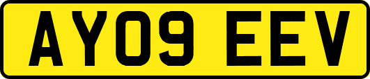 AY09EEV