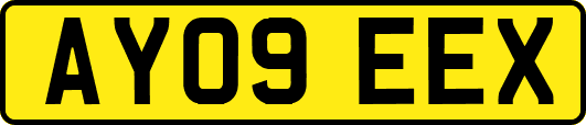 AY09EEX