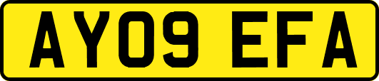 AY09EFA