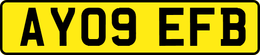 AY09EFB