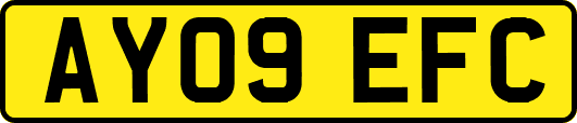AY09EFC