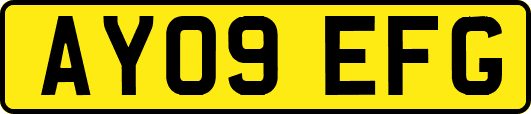 AY09EFG