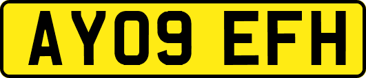AY09EFH