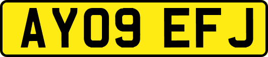 AY09EFJ