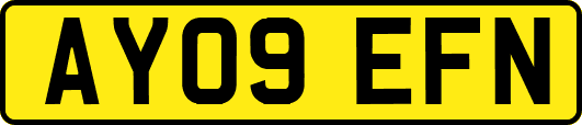 AY09EFN