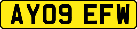 AY09EFW