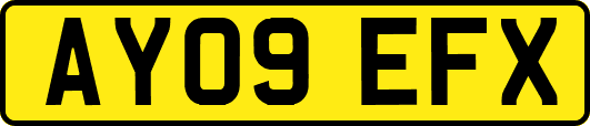 AY09EFX