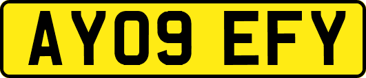 AY09EFY