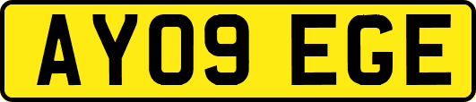 AY09EGE