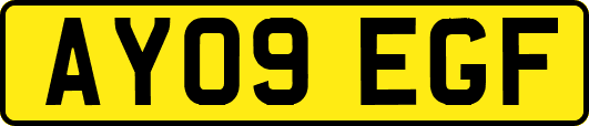 AY09EGF