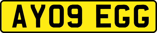 AY09EGG
