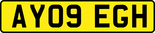 AY09EGH