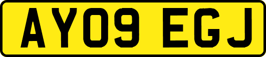 AY09EGJ