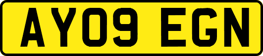 AY09EGN