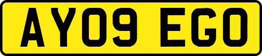 AY09EGO