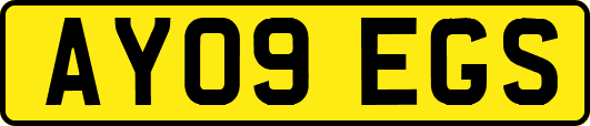 AY09EGS