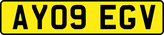 AY09EGV