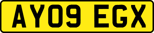 AY09EGX