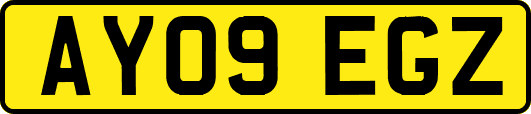 AY09EGZ