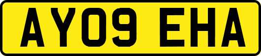 AY09EHA