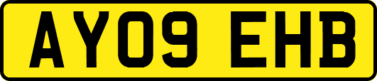 AY09EHB