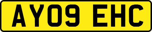 AY09EHC