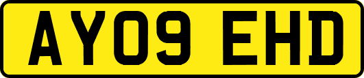 AY09EHD