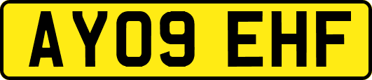 AY09EHF