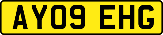 AY09EHG