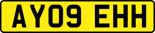 AY09EHH