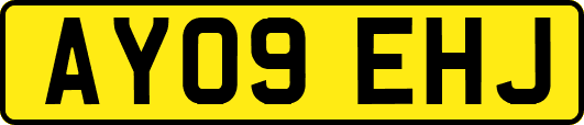 AY09EHJ
