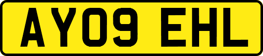 AY09EHL