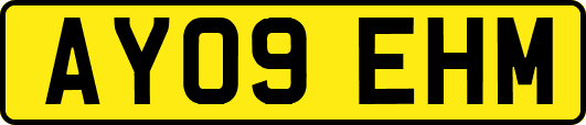 AY09EHM