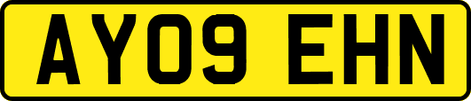 AY09EHN