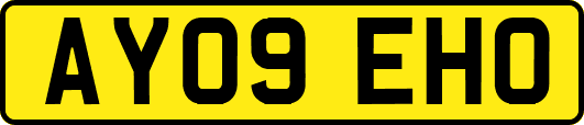 AY09EHO