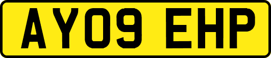 AY09EHP