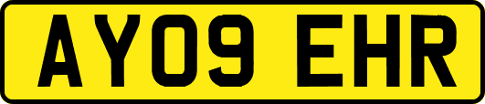 AY09EHR