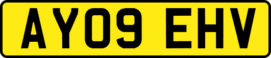 AY09EHV